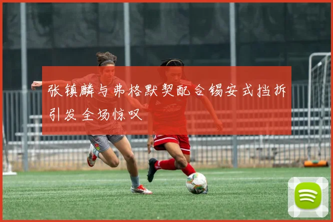 张镇麟与弗格默契配合锡安式挡拆引发全场惊叹